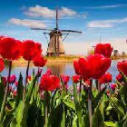 Discovering the Dutch: Dutch Culture and Society