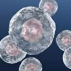 Regenerative Medicine