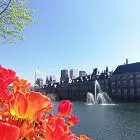 Dutch Culture: Society and Current Issues